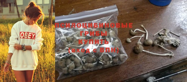 экстази Зерноград