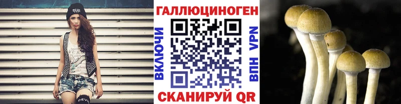 MEGA   Рудня  Галлюциногенные грибы Psilocybine cubensis  наркота 